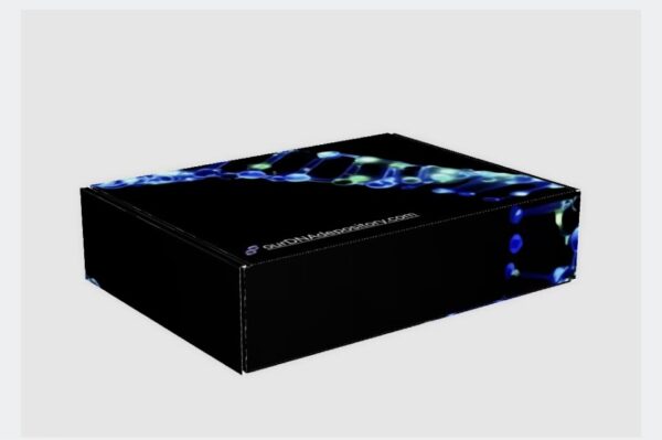 DNA Collection Kit